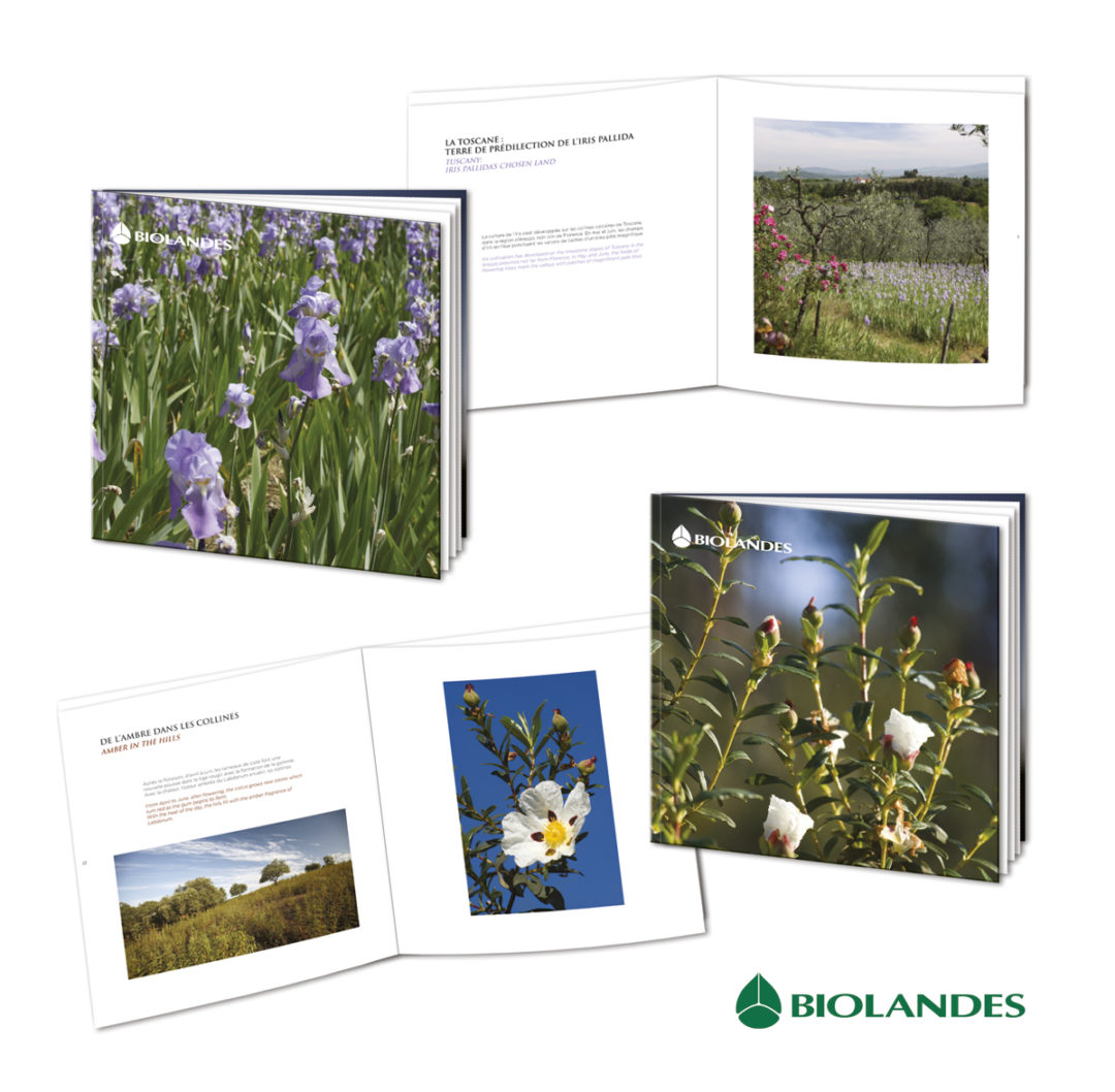 Conception graphique d’une Collection de livres sur les huiles essentielles & extraits naturels produits par Biolandes.