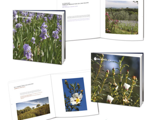 Conception graphique d’une Collection de livres sur les huiles essentielles & extraits naturels produits par Biolandes.